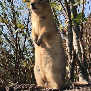 Assiniboine Park Zoo - Zoos Near Me - Winnipeg, Manitoba Assiniboine Park Zoo - Zoos Near Me - Winnipeg, Manitoba