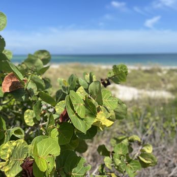 Island Boat Adventures - Tours Near Me - Gulfport, Florida Island Boat Adventures - Tours Near Me - Gulfport, Florida