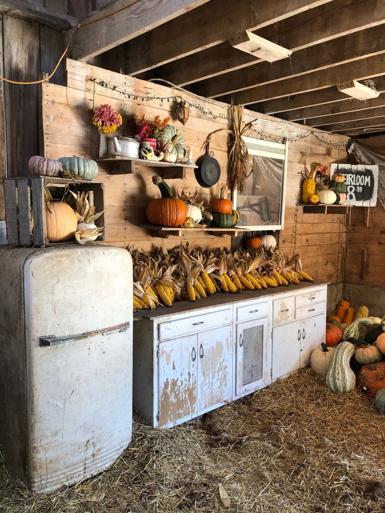 SUGAR GROVE PUMPKIN FARM Updated August 2024 26 Photos & 11 Reviews