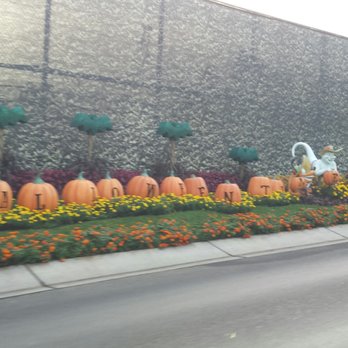 Disneyland's Halloween Time - On the way to the park from the parking area - Festivals Near Me - Anaheim, California