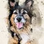 Photo of The Masters Paw