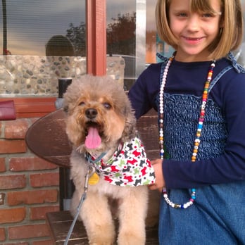 Stylin Pups - Pet Groomers Near Me Stylin Pups - Pet Groomers Near Me