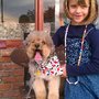 Photo of Stylin Pups