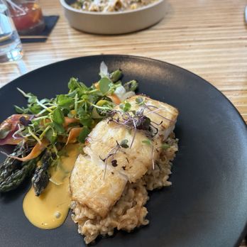 Brandywine - Halibut and Rigatoni - New American Near Me - Cedarburg, Wisconsin