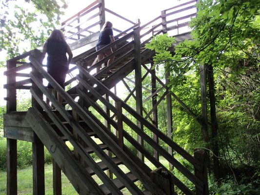 Gorman Nature Center by null