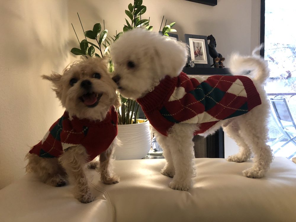 MORENO VALLEY ANIMAL SERVICES Updated August 2024 66 Photos & 80