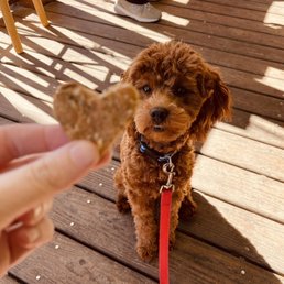 Dog treat