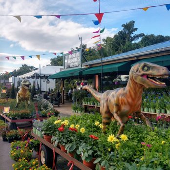 Flamingo Road Nursery - Nurseries & Gardening Near Me - Davie, Florida