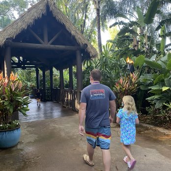Discovery Cove - Just beauty - Amusement Parks Near Me - Orlando, Florida