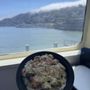 Sausalito Market