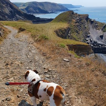 Hartland Quay - Hiking Near Me - Bideford, DEV