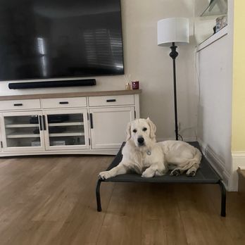 CANIS - Behavior and Training - Pet Training Near Me - Tarzana, California CANIS - Behavior and Training - Pet Training Near Me - Tarzana, California