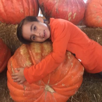Pa's Pumpkin Patch - Amusement Parks Near Me - Lakewood, California