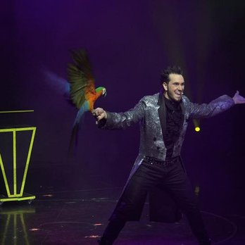 David Davinci Theater - Meet Tusa, one of the stars of the show! - Performing Arts Near Me - Moab, Utah David Davinci Theater - Meet Tusa, one of the stars of the show! - Performing Arts Near Me - Moab, Utah