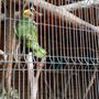Photo of Zoológico Parque De Los Niños