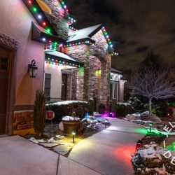 Lime Lights