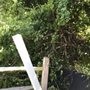 Photo of Bucks Tree Care & Landscaping