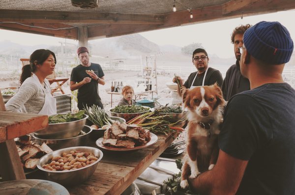 Saddlerock Gardens by null