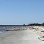 Photo of Botany Bay Kayak Adventures