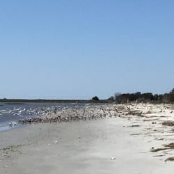 Botany Bay Kayak Adventures - Island Tour