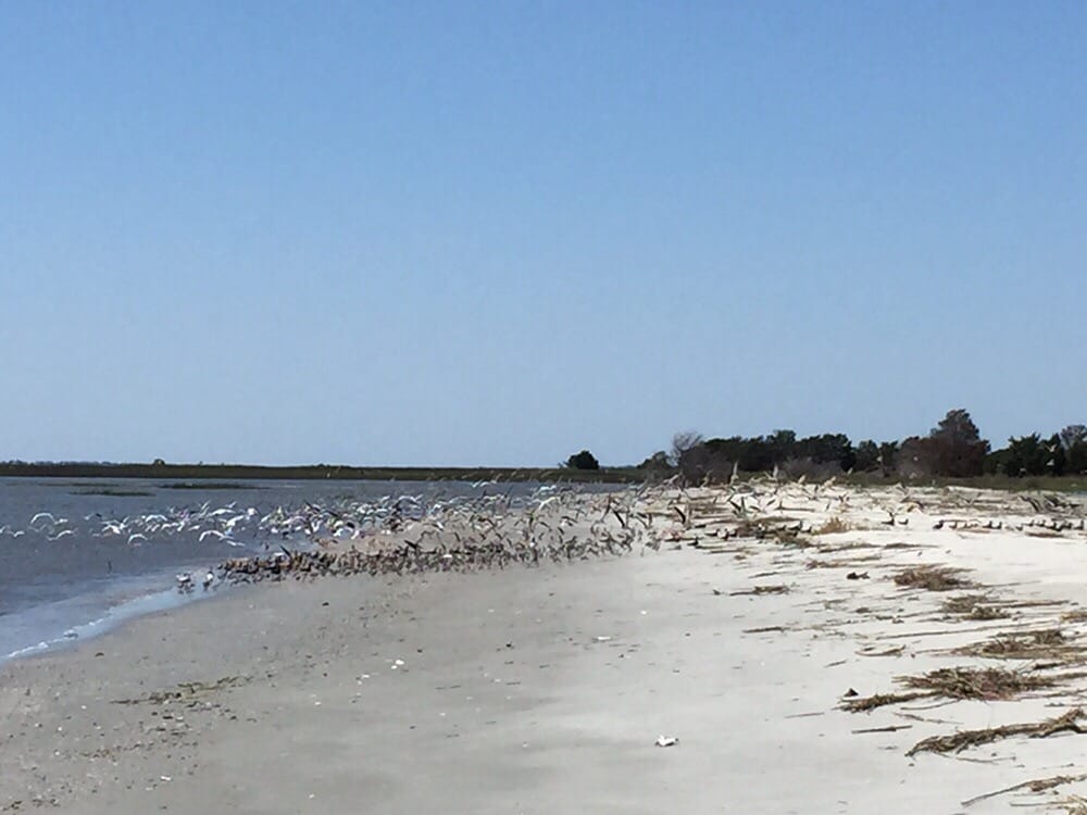 BOTANY BAY KAYAK ADVENTURES Updated July 2024 11 Photos 487