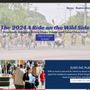 Photo of Williams Web Solutions
