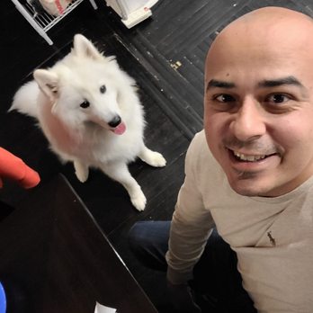 Pawfessional Pet Care - Pet Boarding Near Me - Jersey City, New Jersey