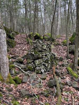 Pachaug State Forest by null