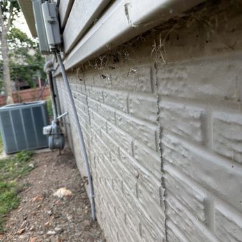 Titan Pest Pro - Spiderwebs along left foundation - Pest Control Near Me - Springfield, Missouri Titan Pest Pro - Spiderwebs along left foundation - Pest Control Near Me - Springfield, Missouri
