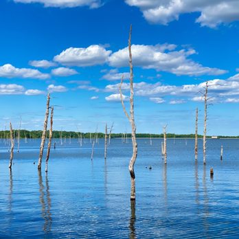 Manasquan Reservoir - Stunning scenery, but also a bit haunting! - Bike Rentals Near Me - Howell, New Jersey Manasquan Reservoir - Stunning scenery, but also a bit haunting! - Bike Rentals Near Me - Howell, New Jersey