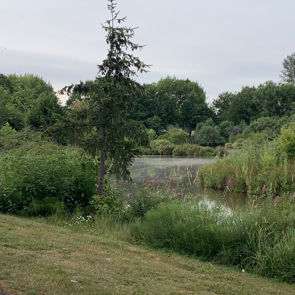 Summerlake Park - Parks Near Me - Tigard, Oregon Summerlake Park - Parks Near Me - Tigard, Oregon