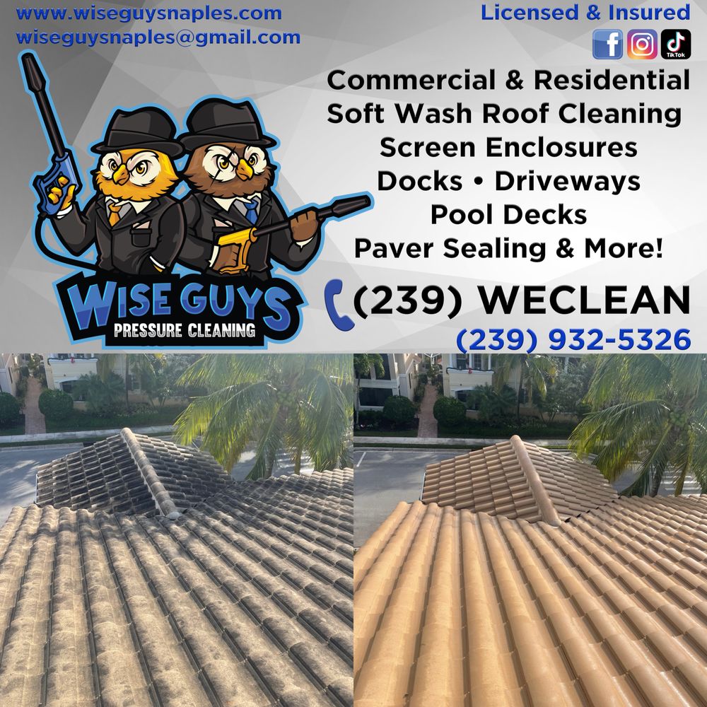 Slide of Wise Guys Pressure Cleaning