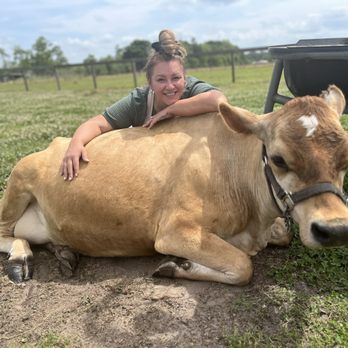 The Cowford - Julie and her prized A2/A2 Jersey, Flora. - Ranches Near Me - Lawtey, Florida