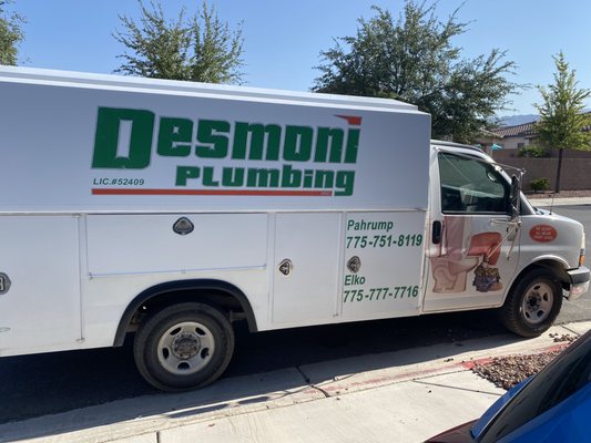 Desmoni Plumbing Logo
