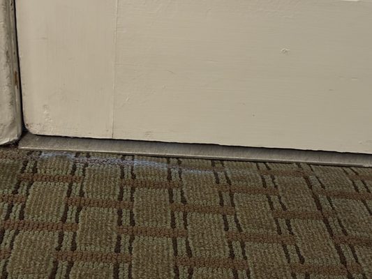 Lavender Inn by the Sea by null