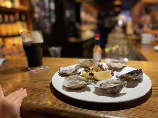 Paddy Burkes Bar & Restaurant by null