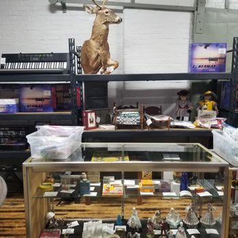 Estate Services - Deer bust? Collectibles including sports and many others - Antiques Near Me - West Warwick, Rhode Island
