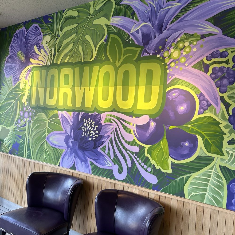 Maha Juice Bar - Mural - Juice Bars & Smoothies Near Me - Norwood, Massachusetts Maha Juice Bar - Mural - Juice Bars & Smoothies Near Me - Norwood, Massachusetts