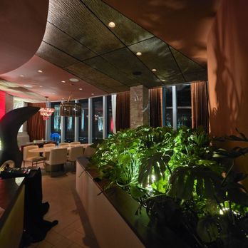 Ibis Sky Lounge - Romantic lighting and decor - Tapas/Small Plates Near Me - Fort Lauderdale, Florida Ibis Sky Lounge - Romantic lighting and decor - Tapas/Small Plates Near Me - Fort Lauderdale, Florida