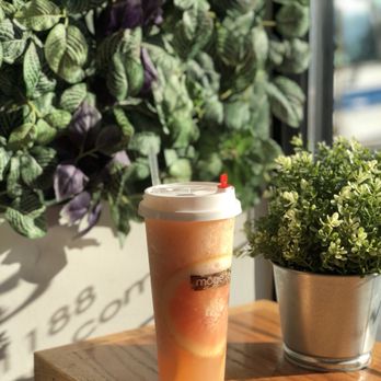 Möge Tee - Flushing - Bubble Tea Near Me - Flushing, New York Möge Tee - Flushing - Bubble Tea Near Me - Flushing, New York