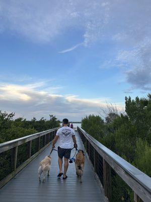 Smyrna Dunes Park by null