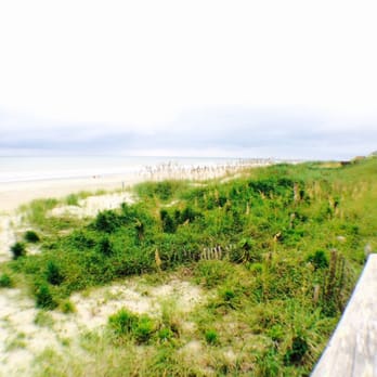 Heather Singleton - Emerald Isle Realty - Healthy sand dunes - Real Estate Agents Near Me - Emerald Isle, North Carolina Heather Singleton - Emerald Isle Realty - Healthy sand dunes - Real Estate Agents Near Me - Emerald Isle, North Carolina