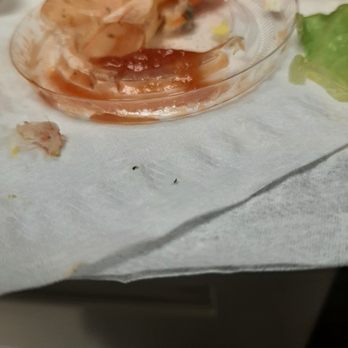 The Grille - Hair in the crab and lots of shell, bugs on the lettuce, and egg shell. Ew! - American Near Me