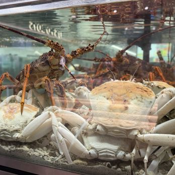 Nicholas Seafood Traders - Seafood Markets Near Me - Pyrmont, NSW