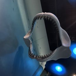 Shark jaw (replica)