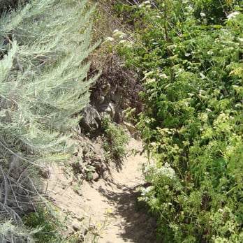 Bonny Doon Beach - narrow path down to beach. - Beaches Near Me - Santa Cruz, California