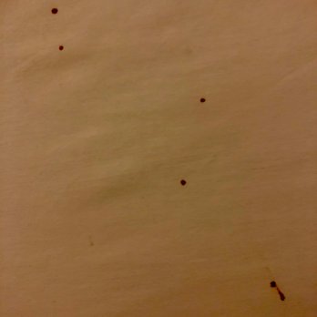 Courtyard by Marriott Chicago Glenview/Northbrook - Blood found on my unchanged sheets. Housekeeping flipped sheets around on second night rather than changing. Disgusting. - Hotels Near Me - Glenview, Illinois