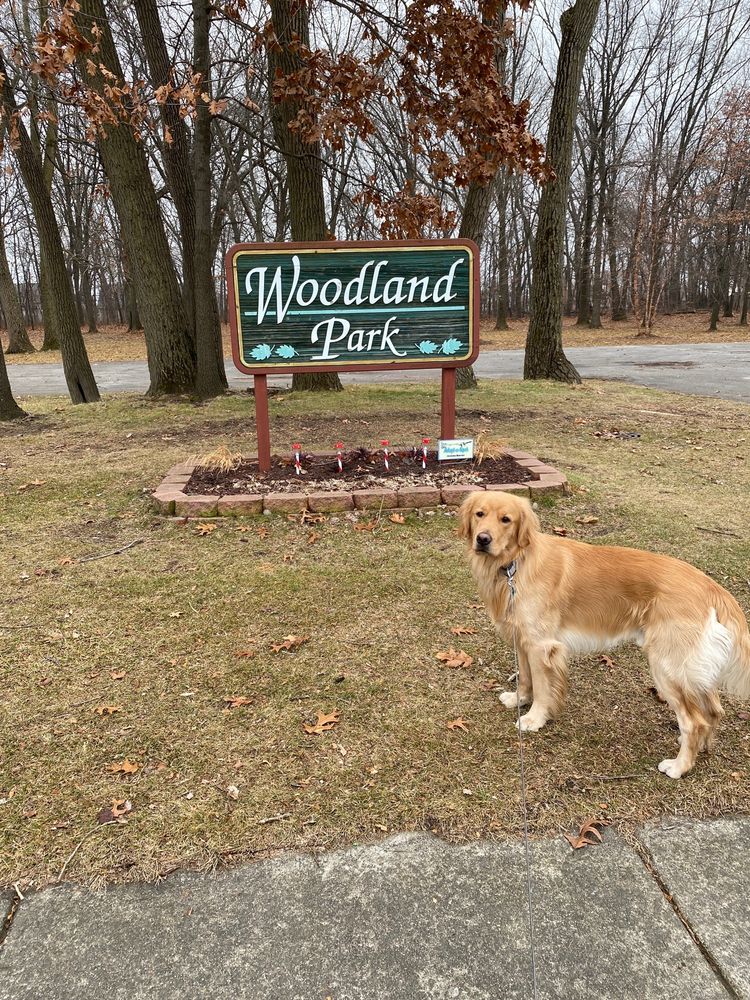 WOODLAND PARK Updated August 2024 1613 W Pine Ave, Griffith