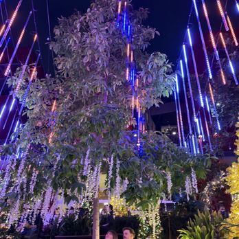 insideOUT - The awesome light show! - Lounges Near Me - San Diego, California insideOUT - The awesome light show! - Lounges Near Me - San Diego, California