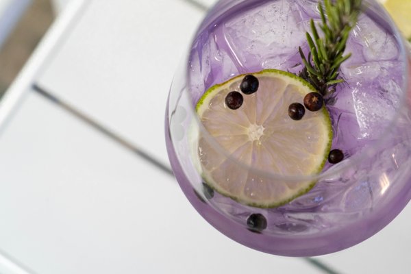 Toast Kitchen and Bar by null